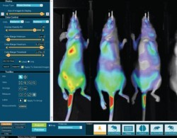 Aura Imaging Software.jpg