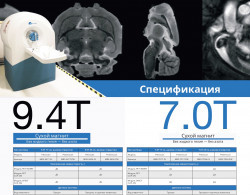 10_page-0001.jpg